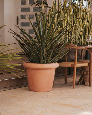 rosa#Tamaño_ø75x59 cm#Color del producto_Terracota Opaco