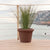 RUSTIC PINK 45 round flower pot