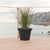 RUSTIC PINK 45 round flower pot