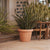 RUSTIC PINK 45 round flower pot