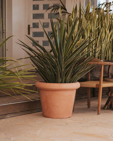 rosa#Tamaño_ø45x35 cm#Color del producto_Terracota Opaco