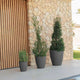 VIOLET 30 flower pot