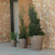 VIOLET 30 flower pot