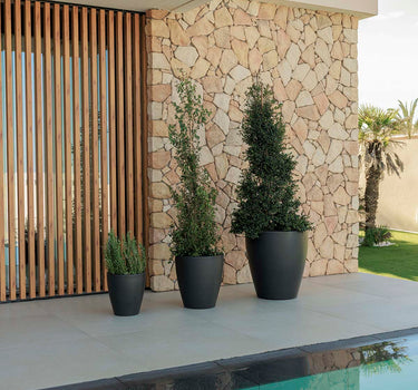 VIOLET 30 flower pot