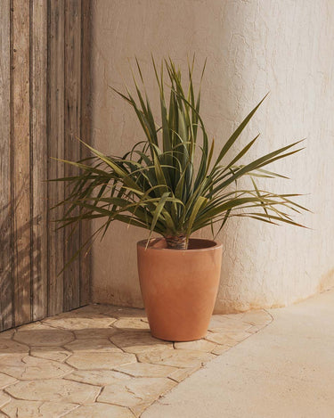 violeta#Tamaño_ø40 x 43 cm#Color del producto_Terracota Opaco