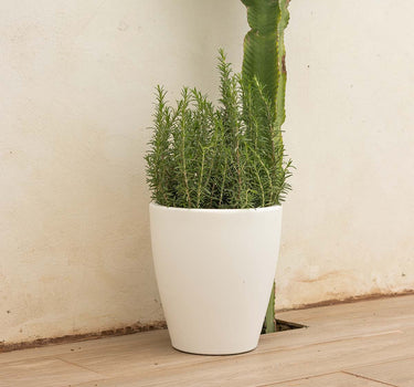 violeta#Tamaño_ø30 x 33 cm#Color del producto_Blanco Opaco