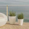 violeta#Tamaño_ø40 x 43 cm#Color del producto_Blanco Opaco