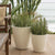 VIOLET 30 flower pot