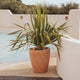 VIOLET 30 flower pot