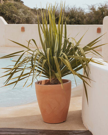 violeta#Tamaño_ø55 x 60 cm#Color del producto_Terracota Opaco