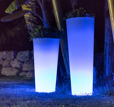 Round flowerpot with light FICUS 60