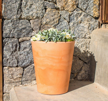 GERBERA 33 colored round flowerpot