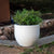 Round colored flower pot AZALEA 30