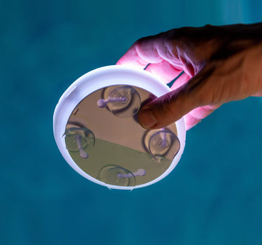 Luz para piscina sin cables PAPAYA 12 BATTERY