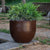 AZALEA 40 colored round flower pot