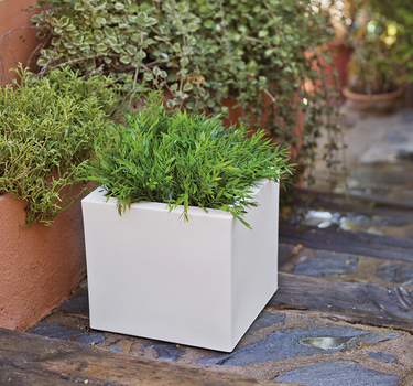 SQUARE NARCISO COLOR PLANTER 35