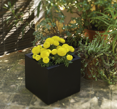 SQUARE NARCISO COLOR PLANTER 35
