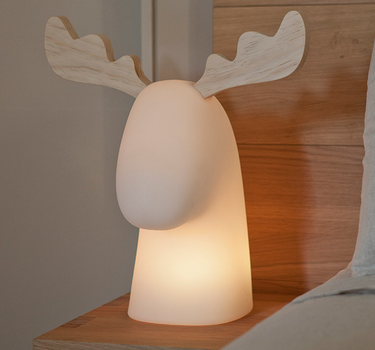 RENO ILUMINADO RUDY