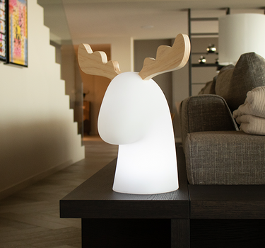 RENO ILUMINADO RUDY